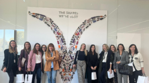 Despachos de abogados - 8ª edición